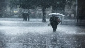 خبيرة الأرصاد تكشف الأسباب الحقيقية لاختلاف شتاء 2025 عن المواسم السابقة